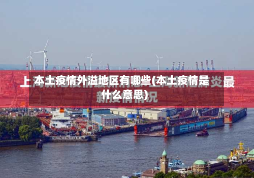 本土疫情外溢地区有哪些(本土疫情是什么意思)-第2张图片