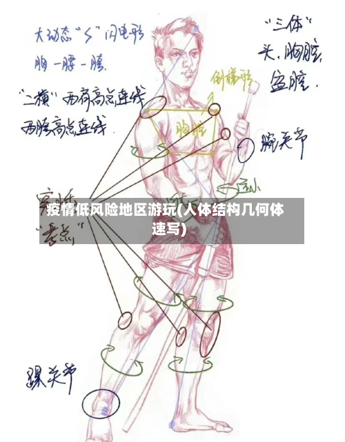 疫情低风险地区游玩(人体结构几何体速写)