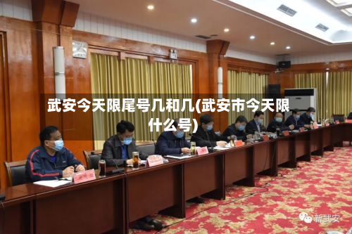武安今天限尾号几和几(武安市今天限什么号)-第3张图片