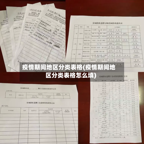 疫情期间地区分类表格(疫情期间地区分类表格怎么填)-第2张图片