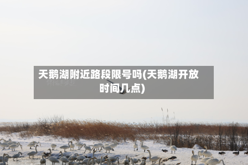 天鹅湖附近路段限号吗(天鹅湖开放时间几点)-第2张图片