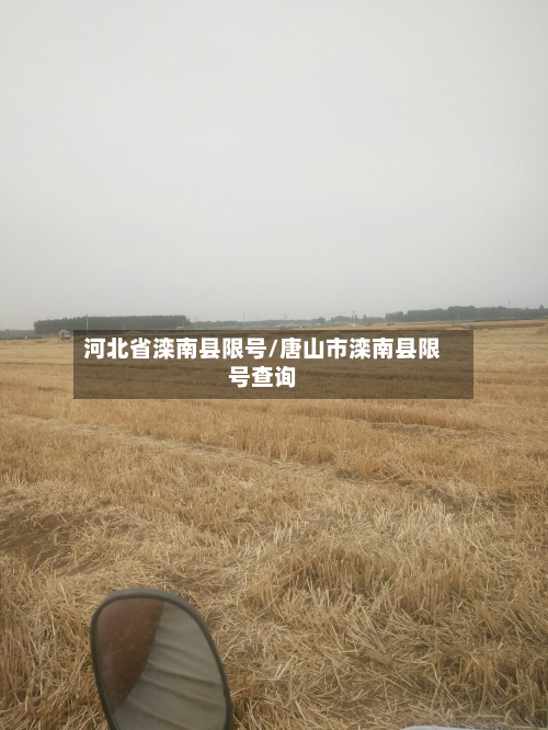 河北省滦南县限号/唐山市滦南县限号查询-第2张图片