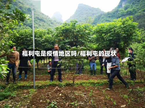福利屯是疫情地区吗/福利屯的现状-第2张图片