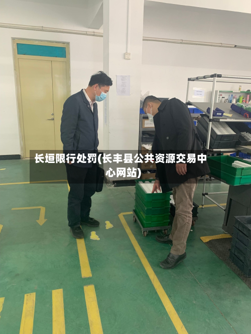 长垣限行处罚(长丰县公共资源交易中心网站)-第2张图片