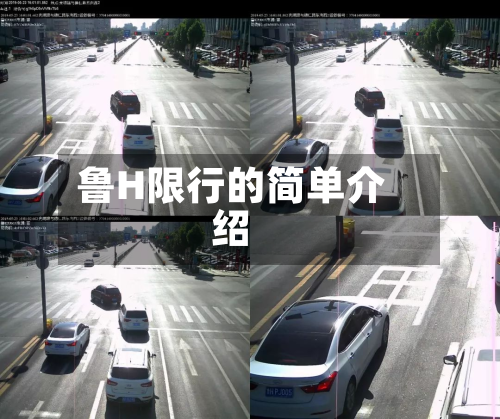 鲁H限行的简单介绍