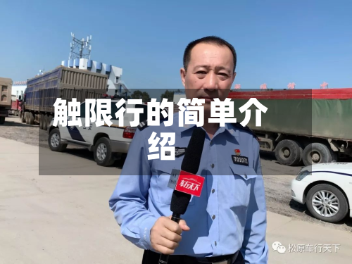 触限行的简单介绍