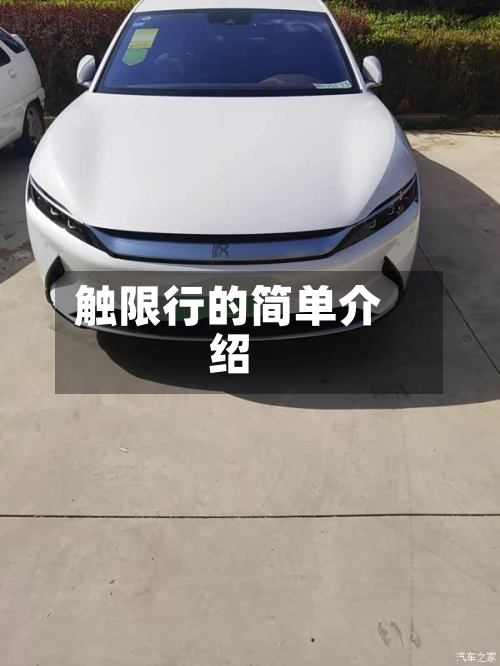 触限行的简单介绍-第3张图片