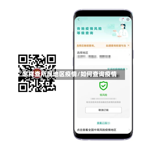 怎样查所属地区疫情/如何查询疫情