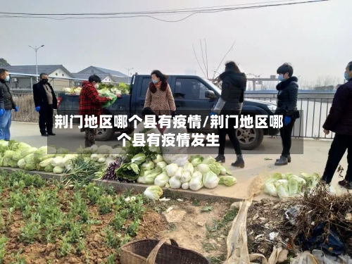 荆门地区哪个县有疫情/荆门地区哪个县有疫情发生-第3张图片