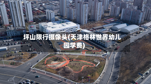 坪山限行摄像头(天津格林世界幼儿园学费)