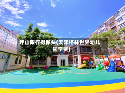 坪山限行摄像头(天津格林世界幼儿园学费)-第3张图片