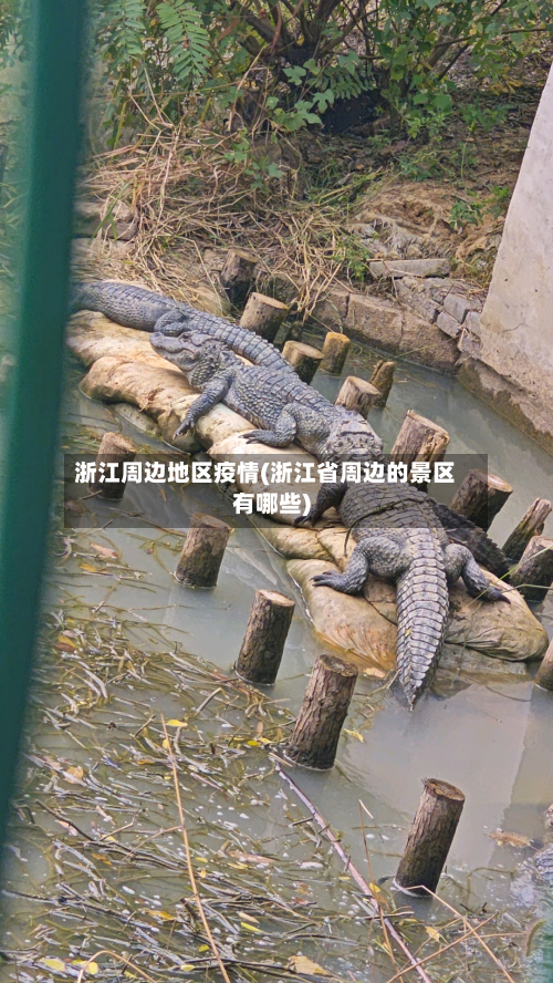 浙江周边地区疫情(浙江省周边的景区有哪些)-第3张图片