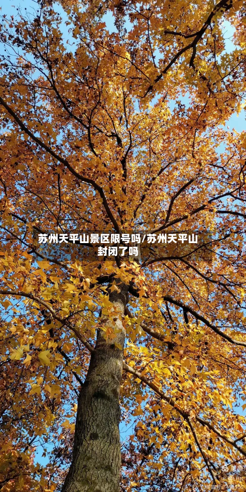 苏州天平山景区限号吗/苏州天平山封闭了吗-第2张图片