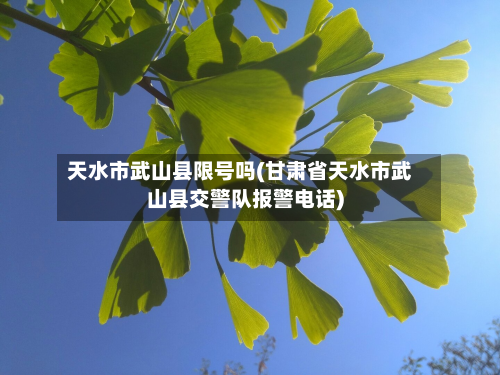 天水市武山县限号吗(甘肃省天水市武山县交警队报警电话)