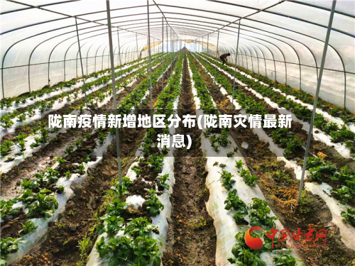 陇南疫情新增地区分布(陇南灾情最新消息)