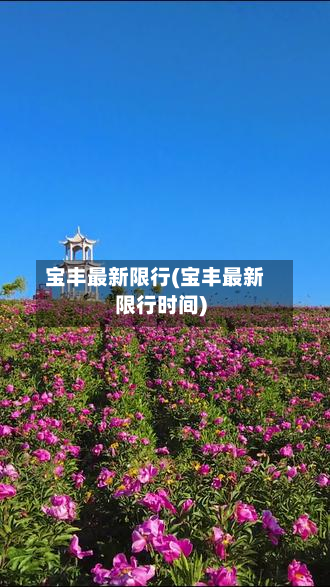 宝丰最新限行(宝丰最新限行时间)-第3张图片