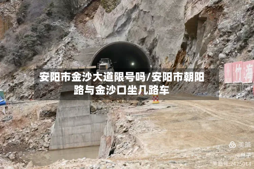 安阳市金沙大道限号吗/安阳市朝阳路与金沙口坐几路车-第3张图片