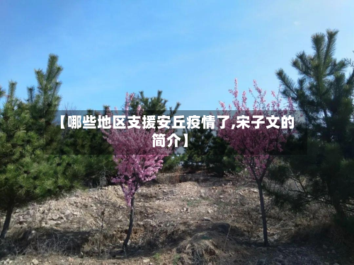 【哪些地区支援安丘疫情了,宋子文的简介】-第3张图片