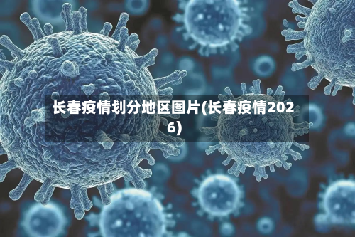 长春疫情划分地区图片(长春疫情2026)-第3张图片