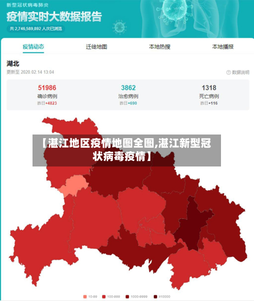 【湛江地区疫情地图全图,湛江新型冠状病毒疫情】