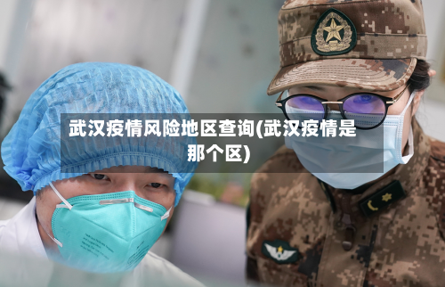 武汉疫情风险地区查询(武汉疫情是那个区)-第3张图片