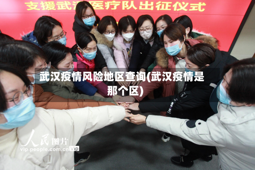 武汉疫情风险地区查询(武汉疫情是那个区)-第2张图片