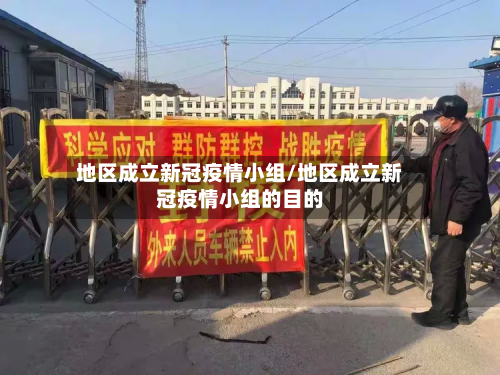 地区成立新冠疫情小组/地区成立新冠疫情小组的目的