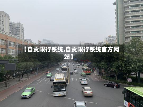 【自贡限行系统,自贡限行系统官方网站】-第2张图片