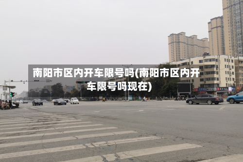 南阳市区内开车限号吗(南阳市区内开车限号吗现在)-第2张图片