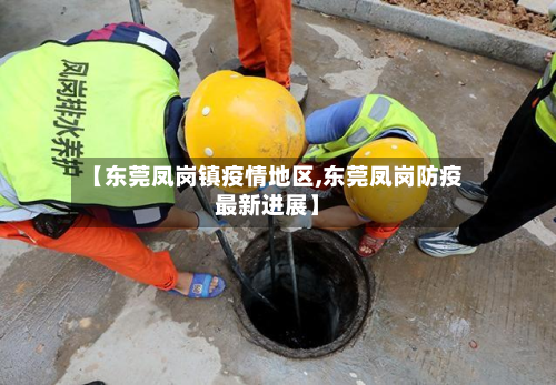 【东莞凤岗镇疫情地区,东莞凤岗防疫最新进展】-第3张图片