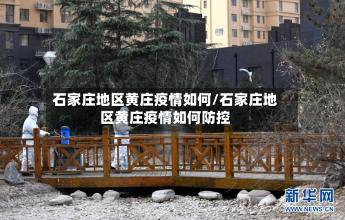石家庄地区黄庄疫情如何/石家庄地区黄庄疫情如何防控
