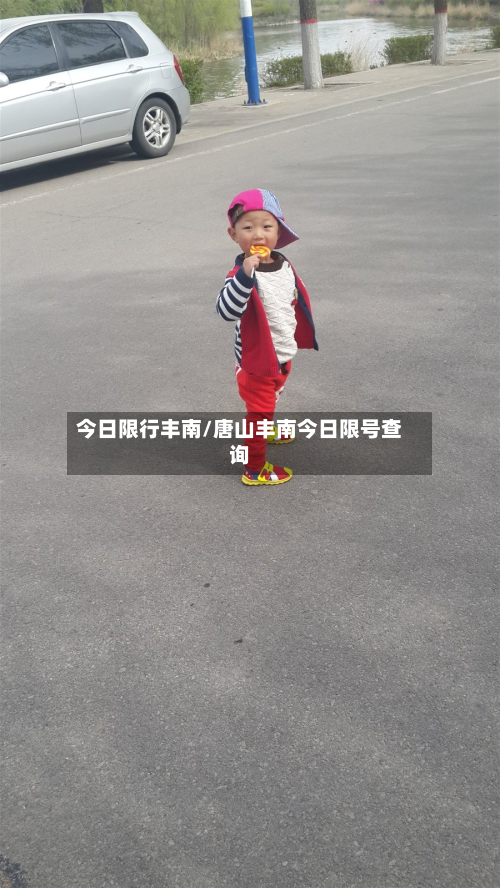 今日限行丰南/唐山丰南今日限号查询-第2张图片