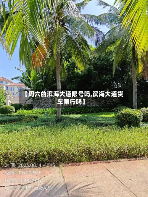 【周六的滨海大道限号吗,滨海大道货车限行吗】
