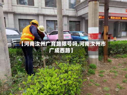 【河南汝州广育路限号吗,河南汝州市广成西路】