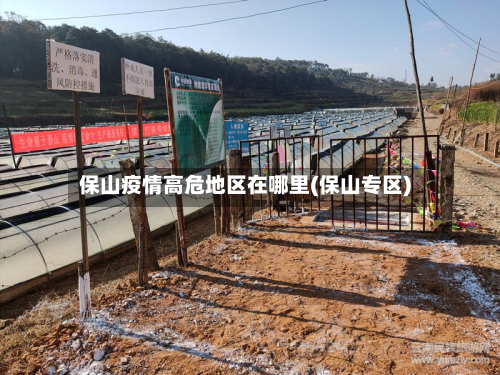 保山疫情高危地区在哪里(保山专区)