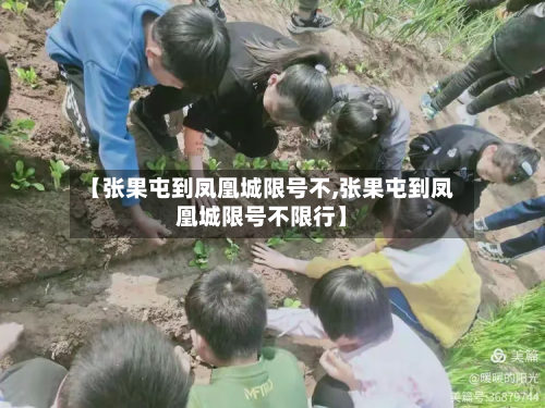 【张果屯到凤凰城限号不,张果屯到凤凰城限号不限行】