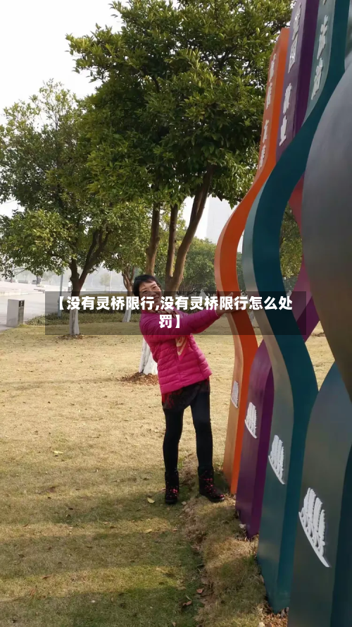 【没有灵桥限行,没有灵桥限行怎么处罚】-第2张图片