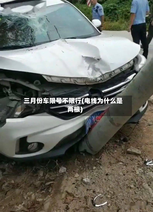 三月份车限号不限行(电线为什么是两根)