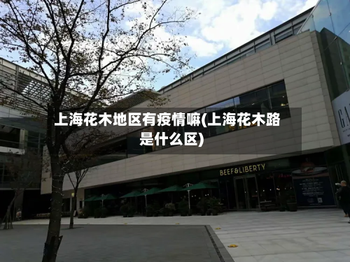 上海花木地区有疫情嘛(上海花木路是什么区)