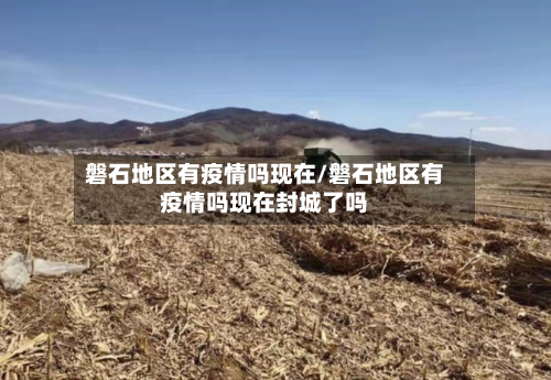 磐石地区有疫情吗现在/磐石地区有疫情吗现在封城了吗-第3张图片