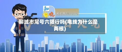 聊城市尾号六限行吗(电线为什么是两根)