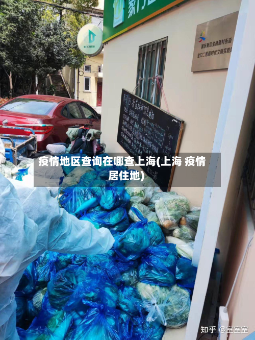 疫情地区查询在哪查上海(上海 疫情 居住地)