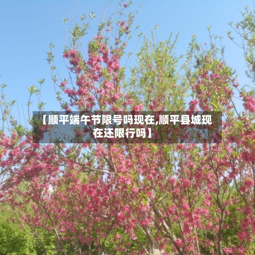 【顺平端午节限号吗现在,顺平县城现在还限行吗】