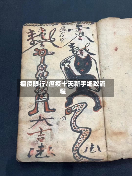 瘟疫限行/瘟疫十天新手细致流程-第2张图片