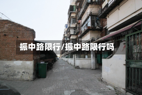 振中路限行/振中路限行吗