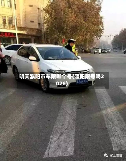明天濮阳市车限哪个号(濮阳限号吗2026)-第3张图片