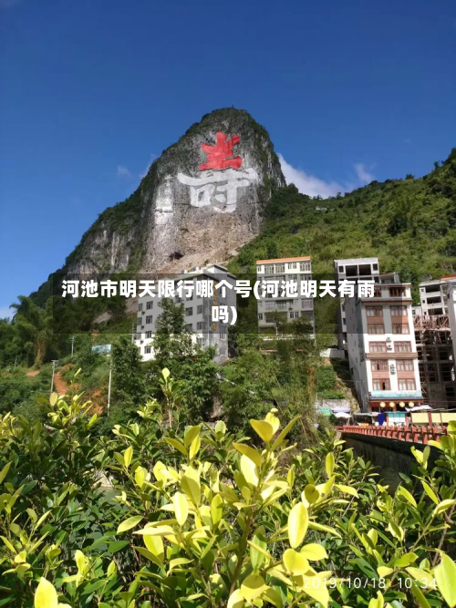 河池市明天限行哪个号(河池明天有雨吗)