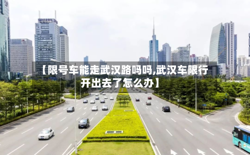 【限号车能走武汉路吗吗,武汉车限行开出去了怎么办】