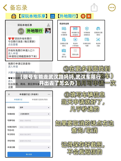【限号车能走武汉路吗吗,武汉车限行开出去了怎么办】-第3张图片