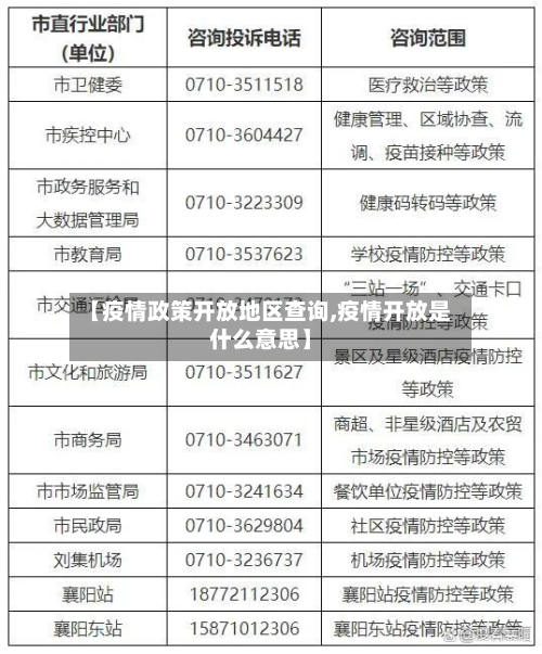 【疫情政策开放地区查询,疫情开放是什么意思】-第3张图片